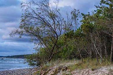 国际热身赛国家队惨败 球迷反思战术问题，2021国际热身赛赛程