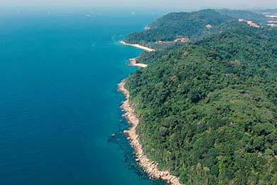 全国青少年轮滑跳台大赛创佳绩，2021年全国青少年轮滑俱乐部联赛